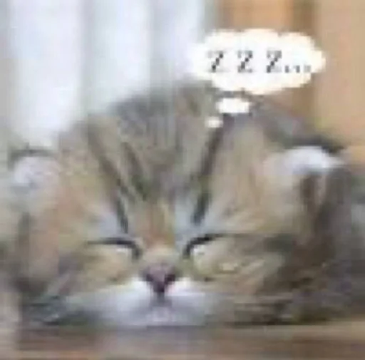 Стикер catsinlowresolution - 1