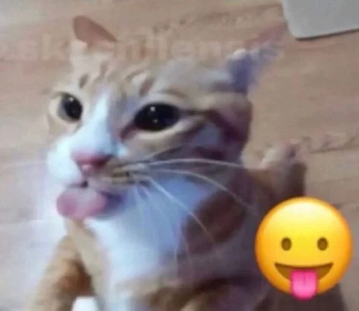 Стикер catsinlowresolution - 1