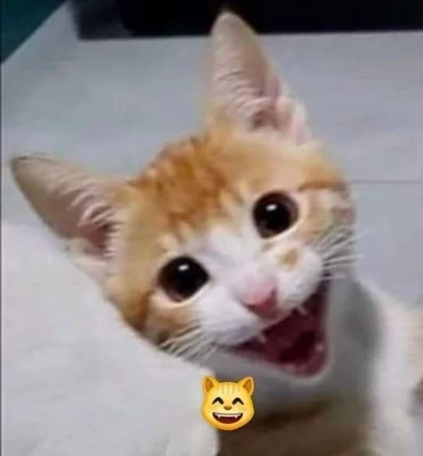 Sticker catsinlowresolution - 1