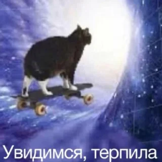 Sticker котики спасут мир @zxeeela - 6