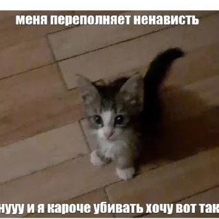 Sticker котики спасут мир @zxeeela - 11