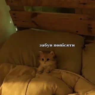 Sticker котики спасут мир @zxeeela - 9