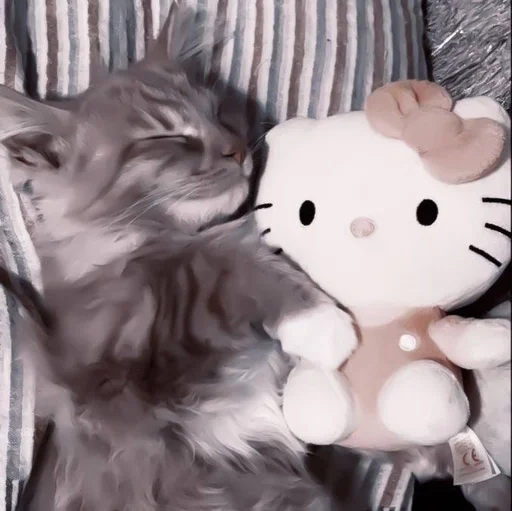 Стикер cats^^ @xxfgldp🐈‍⬛ :: @fStikBot - 11