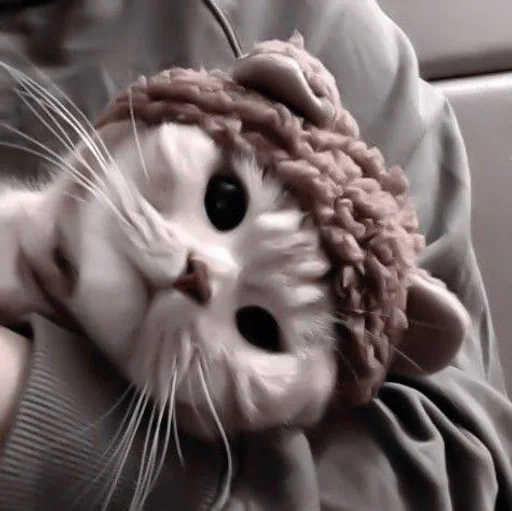 Стикер cats^^ @xxfgldp🐈‍⬛ :: @fStikBot - 9