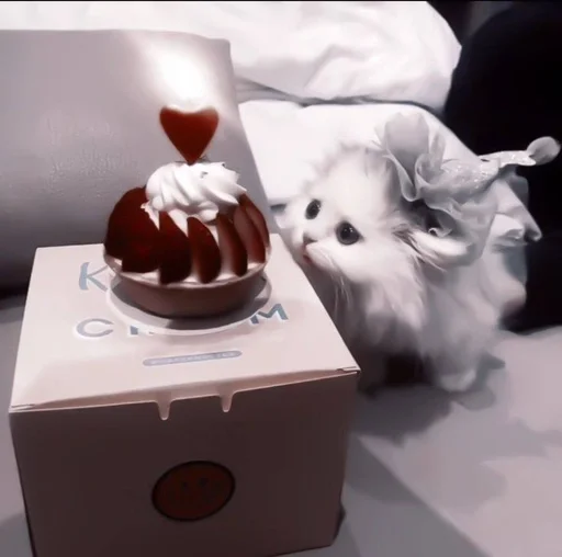 Стикер cats^^ @xxfgldp🐈‍⬛ :: @fStikBot - 5