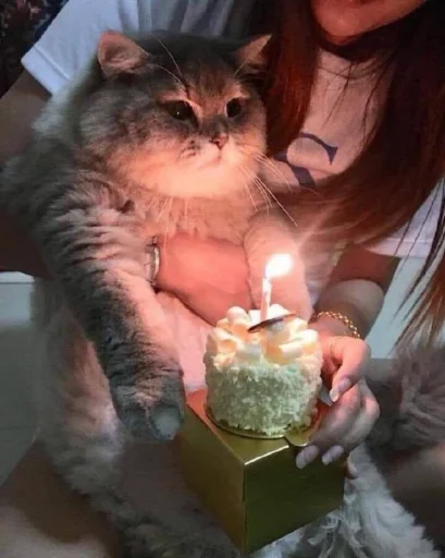 Sticker catsmakeyousmile - 1