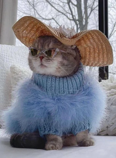 Sticker catsmakeyousmile - 1