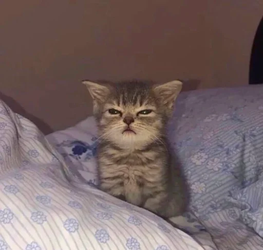 Стикер catsmakeyousmile - 1