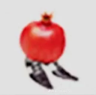 fruit red pomegranate