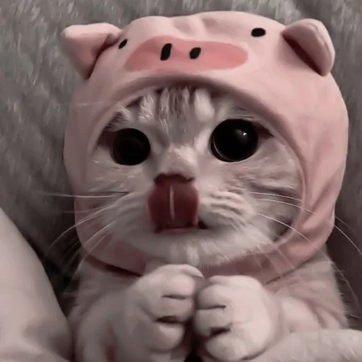 Sticker твоя мать - 6