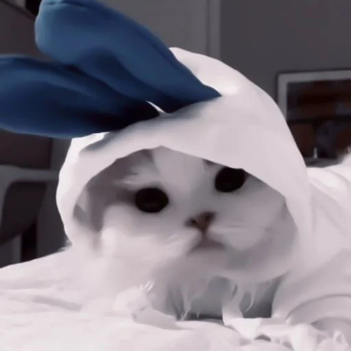 Sticker твоя мать - 5