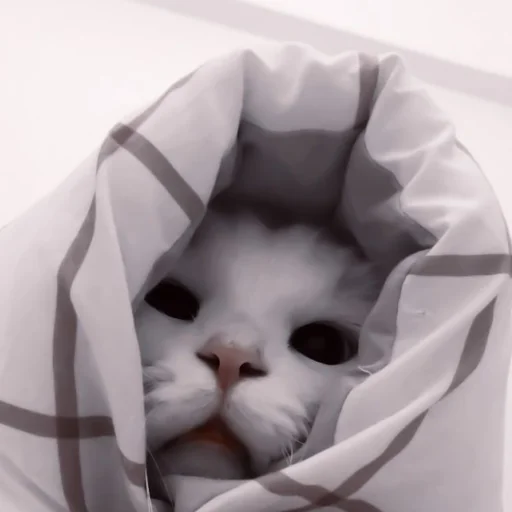 Sticker твоя мать - 4