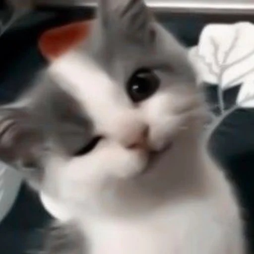 Sticker твоя мать - 3