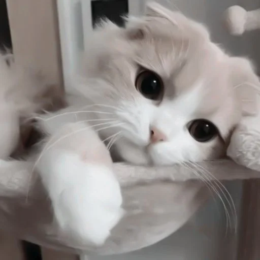 Sticker твоя мать - 2