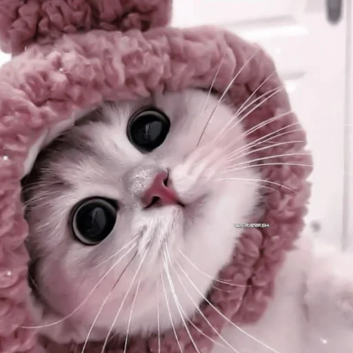 Sticker твоя мать - 1