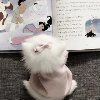 Sticker ᨳ◞ cats; 🐾 -> @wexsavi ꒱ - 7