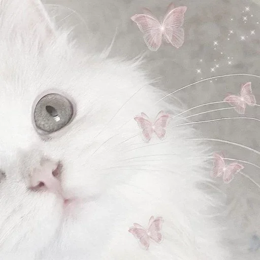 Sticker ᨳ◞ cats; 🐾 -> @wexsavi ꒱ - 2