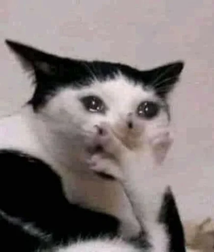 Sticker cattishhehe - 1