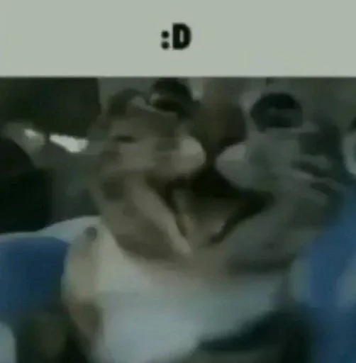 Стикер cats :: @fStikBot - 8