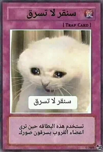 text small to medium-sized cats felidae