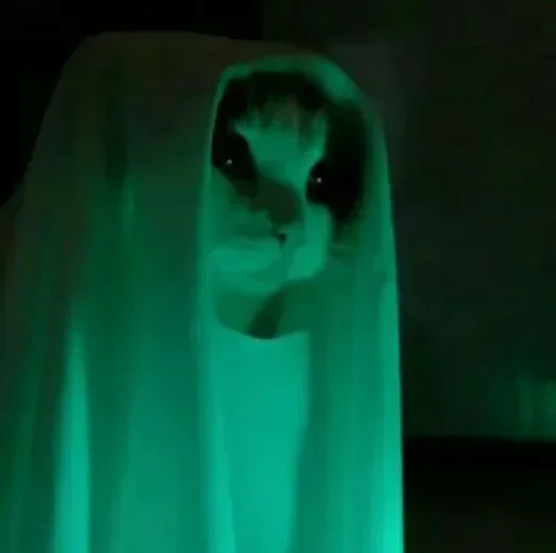 Sticker @VinuXD Kanged_Collection Vol.1 - 7