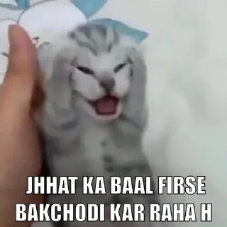 Стикер @SahilKhatkar11 Vol.1 - 3