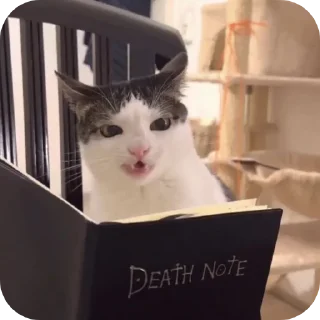 Стикер caxar - 5