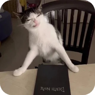 Стикер caxar - 2