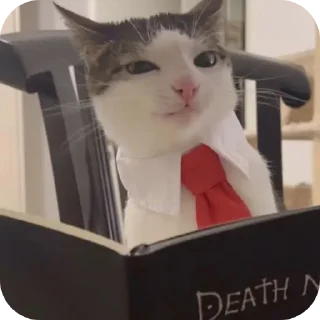 Стикер caxar - 0