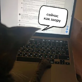 Sticker Админ из ЦБ - 6