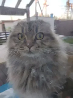 Стикер @stikerk877 - 8