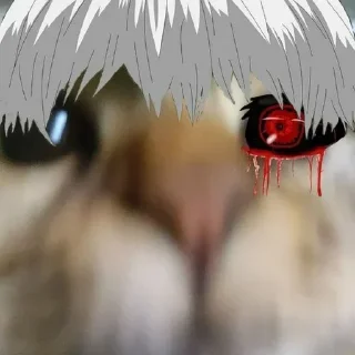 Стикер @stikerk877 - 11