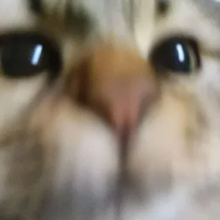 Стикер @stikerk877 - 7