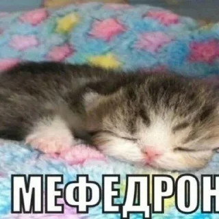 Стикер @stikerk877 - 3