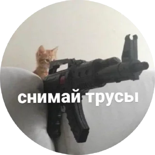 Стикер VIP_BRO - 7