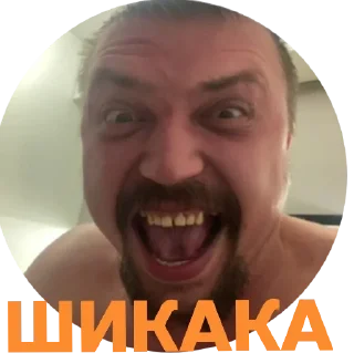 Стикер VIP_BRO - 1