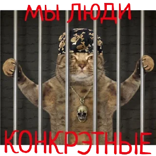 Стикер VIP_BRO - 5