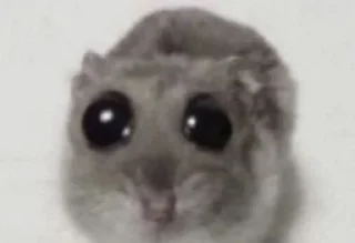 Sticker сын гриба - 1