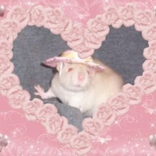 животное комнатный млекопитающее