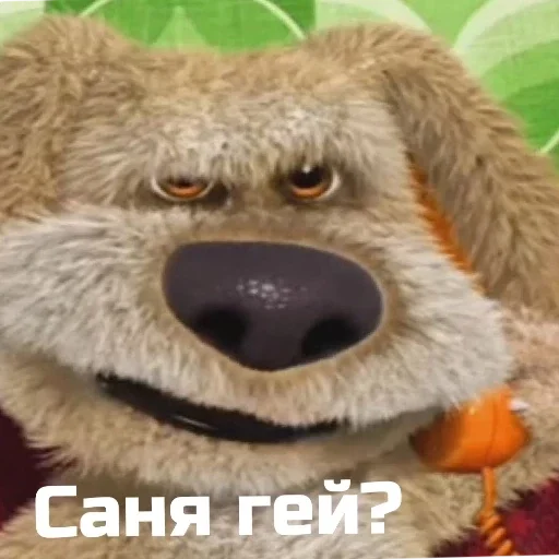 собака медведь животное