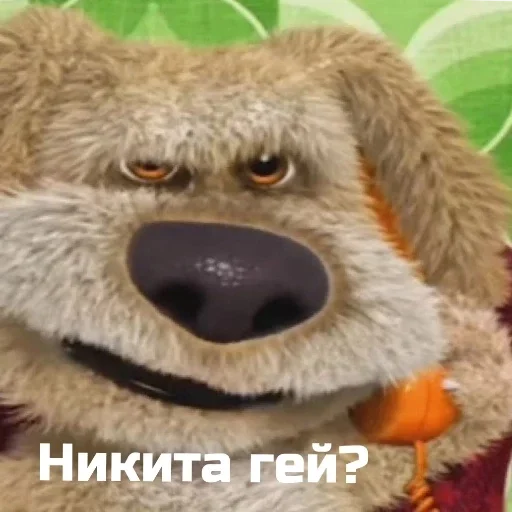 собака животное мех