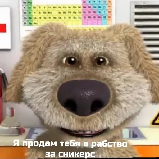 медведь мех животное