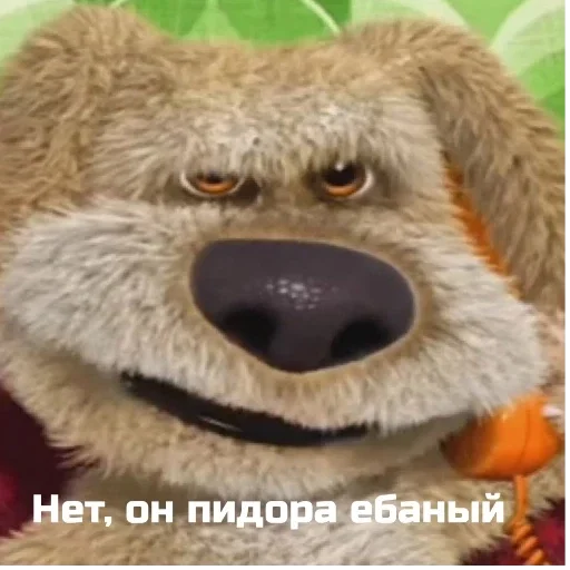 медведь мех животное