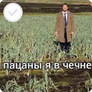 Sticker не ебу как назвать - 6