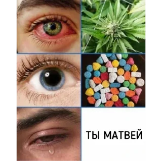 Sticker не ебу как назвать - 2