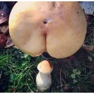 Sticker не ебу как назвать - 10