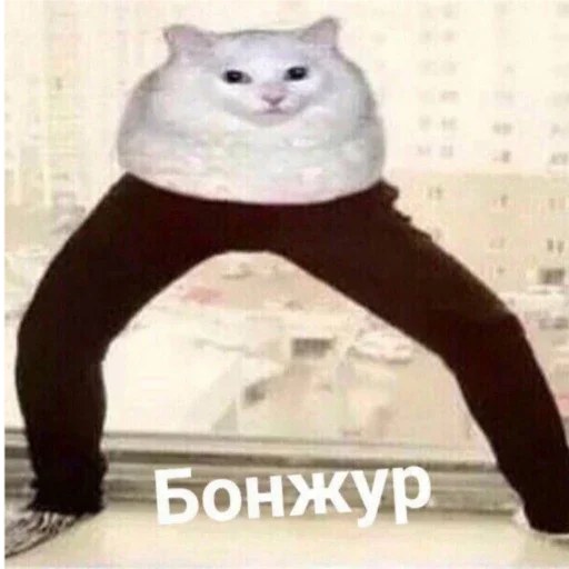 Sticker 𝚏.𝚊.𝚊.𝚌.𝚊.𝚊.𝚊.𝚍 - 9