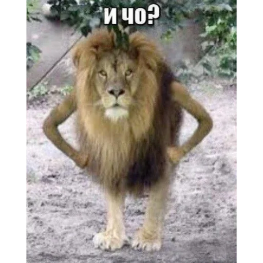 Sticker 𝚏.𝚊.𝚊.𝚌.𝚊.𝚊.𝚊.𝚍 - 8