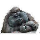 Sticker Cecki gorilla - 7