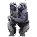 Sticker Cecki gorilla - 11